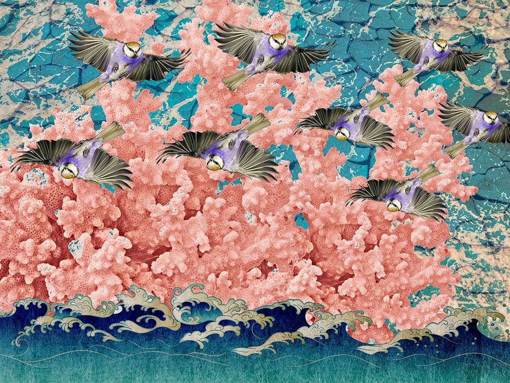 Collage montage photographique couleur